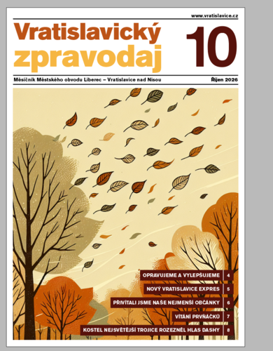 Magazine